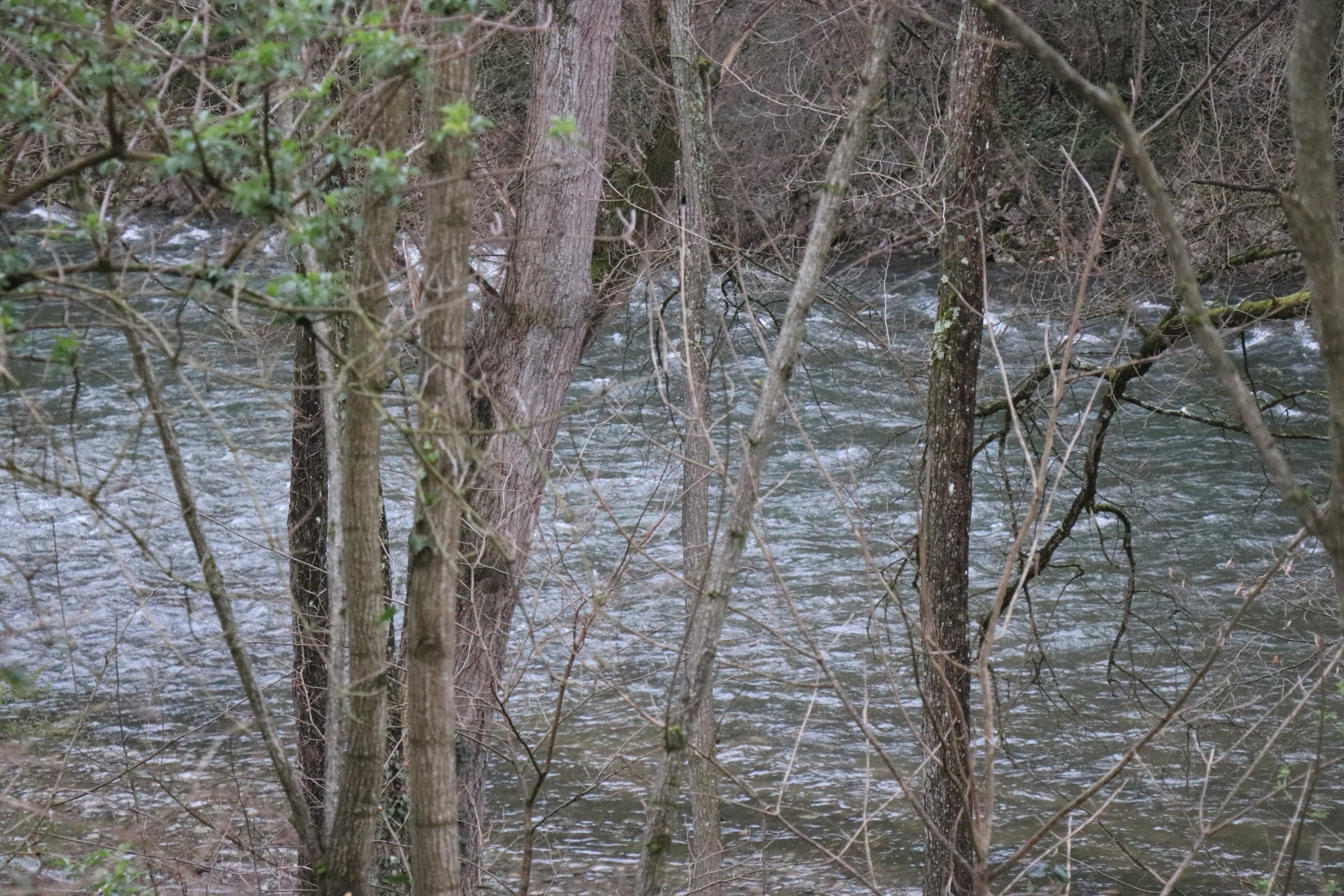 IMG_0285