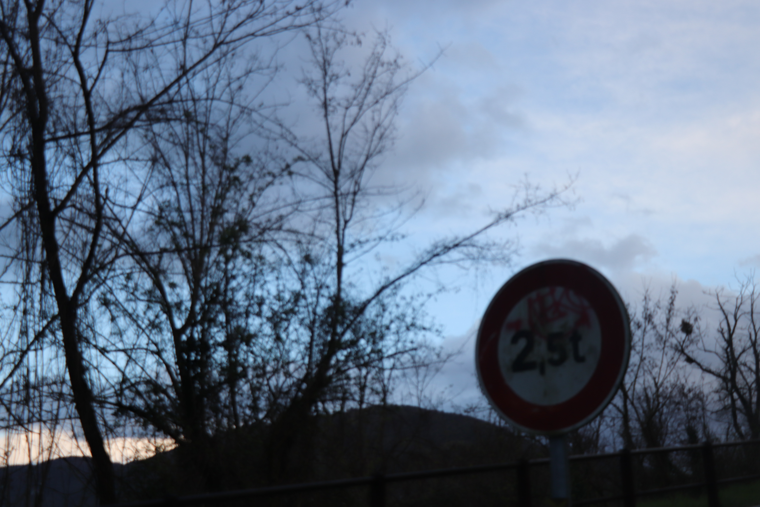 IMG_0370