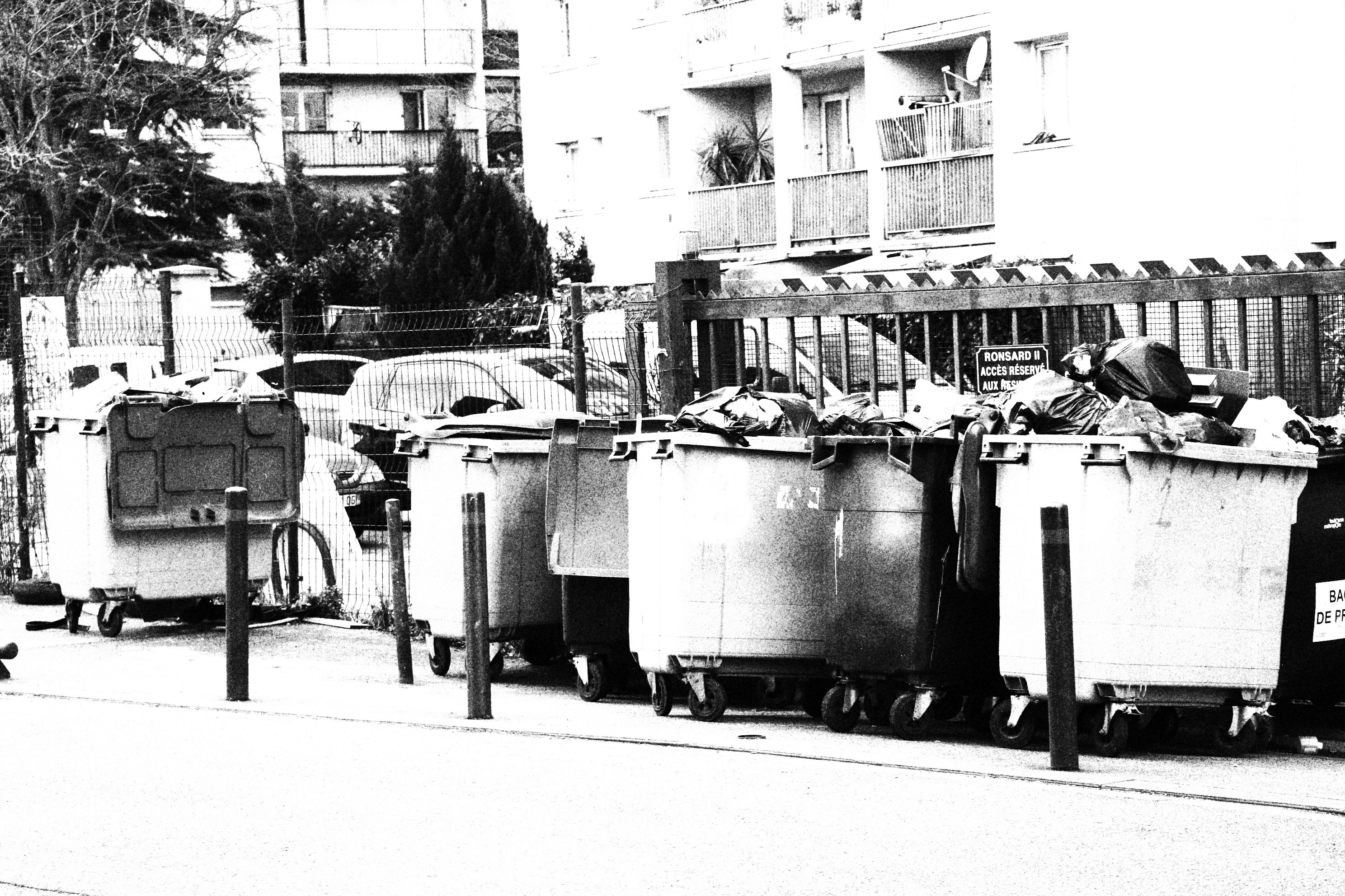IMG_8171